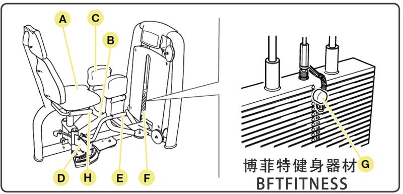 大腿外展外侧肌榴莲小视频